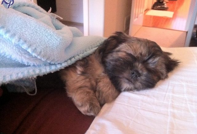 He Is Wonderfull And Is Already Feeling At Home
