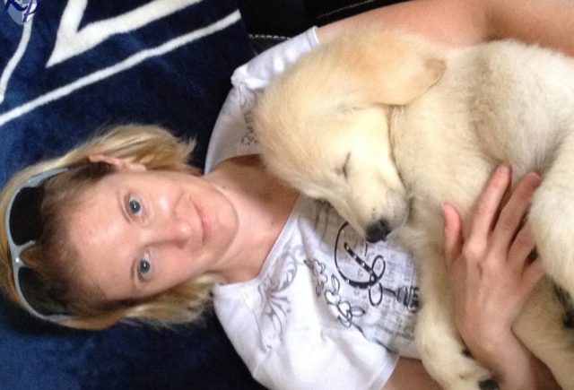 He Is A Wonderful Golden Retriever Pup