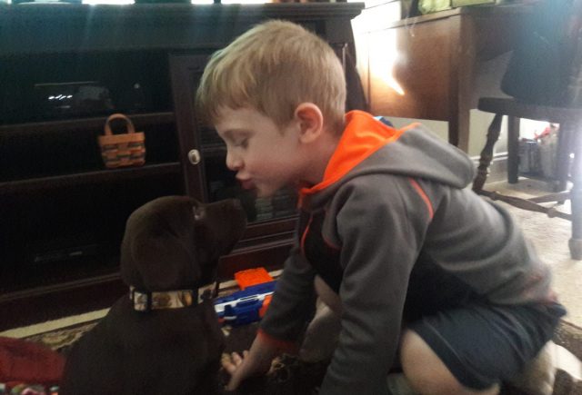 Our Sons New Best Friend