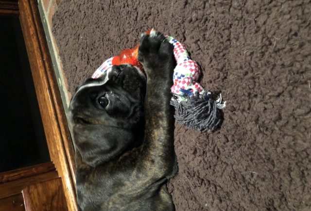 Just Got Our Baby Girl