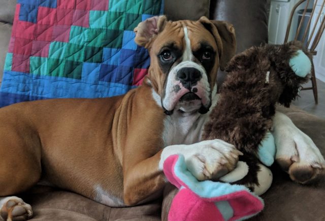 Maggie