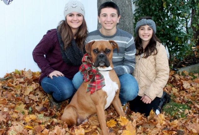 Rocco Has Brought The Joy Laughter And Love