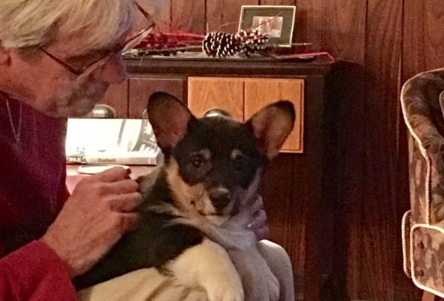 Our Puppy Is Happy And Healthy
