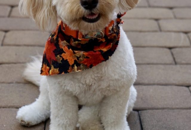 The Sweetest Personality