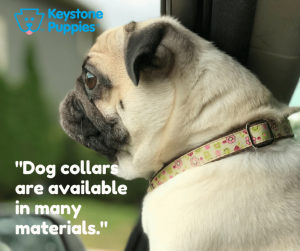 https://stg-keystonepuppies-staging.kinsta.cloud/wp-content/uploads/2018/08/Pug-Dog-Keystone-Puppies-Puppies-for-sale-Pennsylvania.png