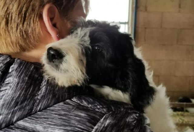 Our Newest Family Member Moe