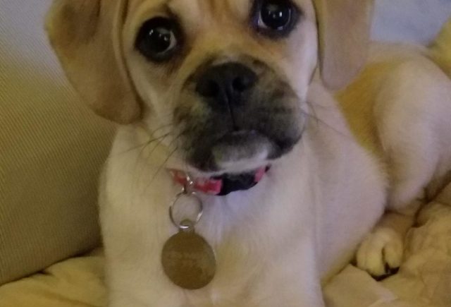She Has Become Part Of My Family
