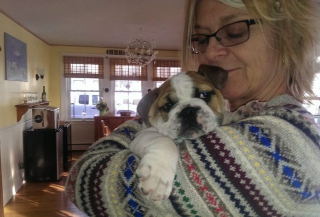 What A Wonderful Puppy