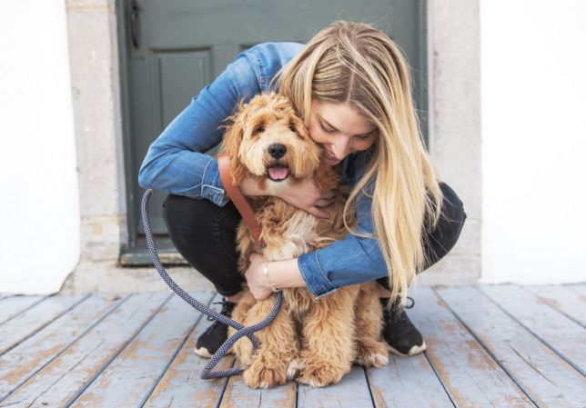 Woman hugging puppy that was shipped to Pittsburgh, PA.